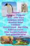 Here are some ideas for your carnival theme: sail the Seven seas - what will you discover