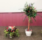 Flower arranging led by Lynne Christmas 2024 - photo 3 Flower arranging led by Lynne Christmas 2024 - photo 3