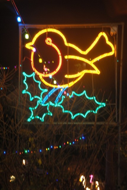 Christmas Robin 2013