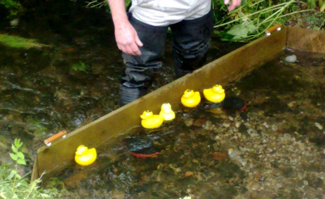 Marshalled