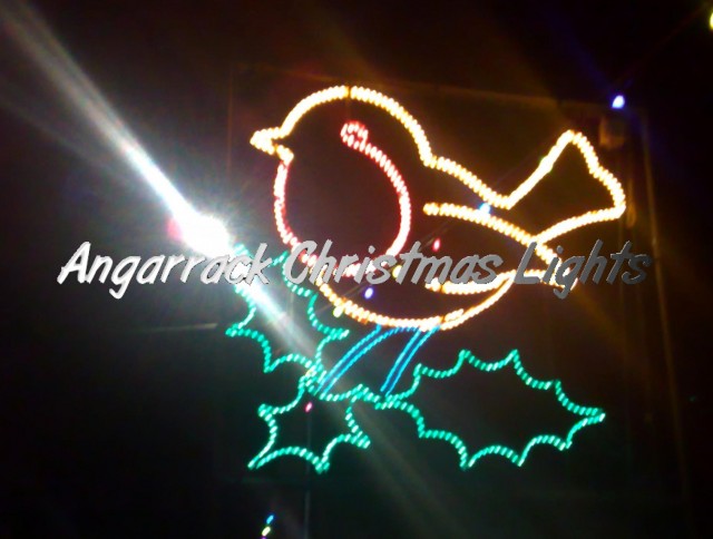 Robin 2010 | Christmas Lights